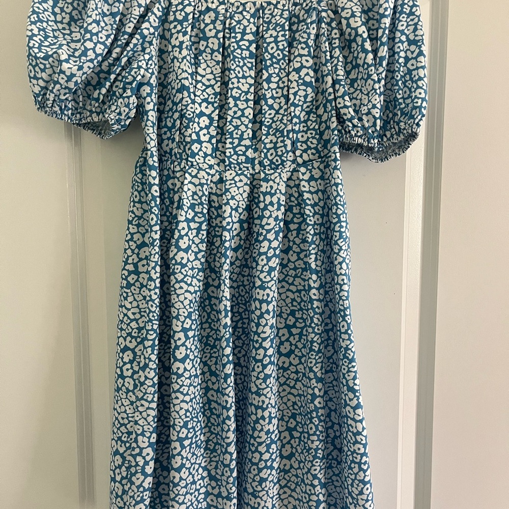 Blue and White Dress